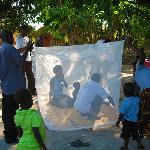 Click here for more information about Four Mosquito Nets